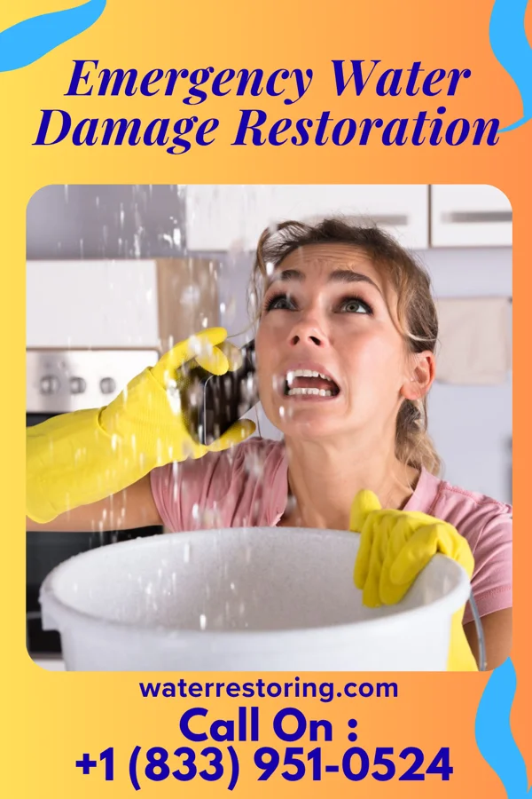Emergency Water Damage Restoration in Waynesboro, VA