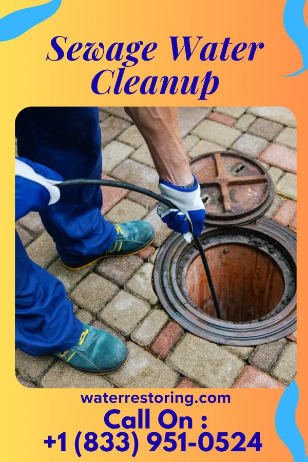 Sewage Water Cleanup in Waynesboro, VA