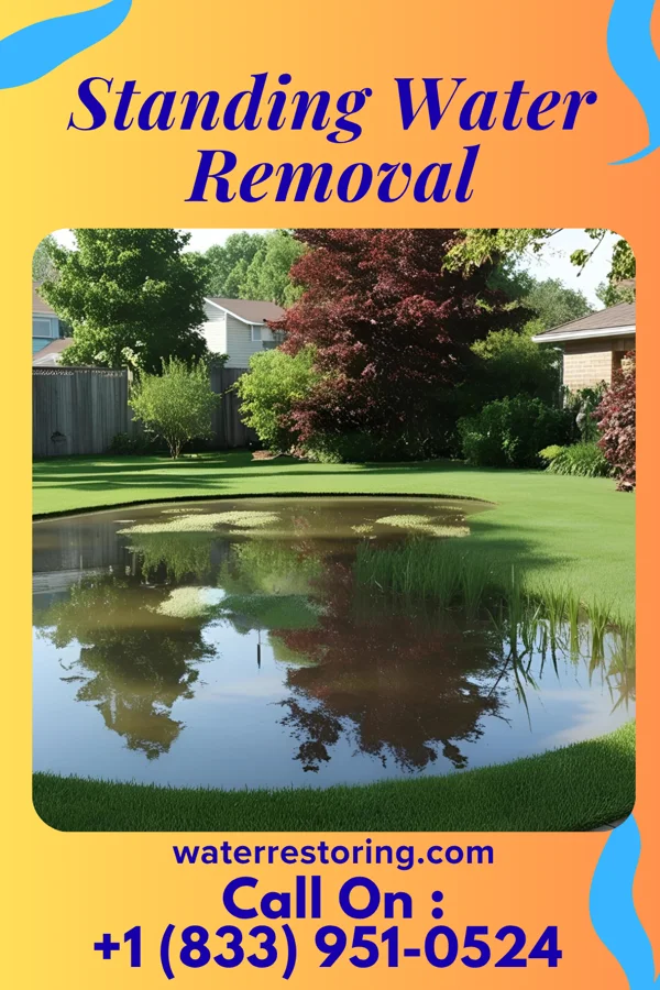 Standing Water Removal in Waynesboro, VA